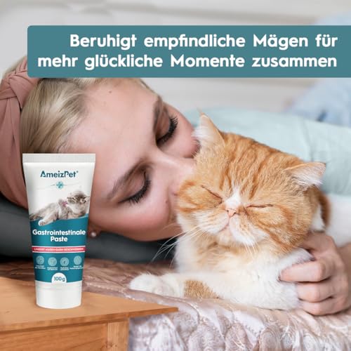 AmeizPet Gastro Intestinale Paste für Katzen, Unterstützung der Darmgesundheit und Darmflora, Verdauungsunterstützendes Ergänzungsmittel für Katzen und Kätzchen, 100g (3.53 Oz)