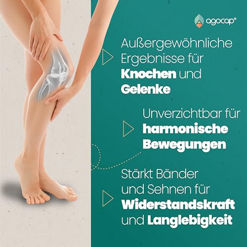 Kollagen Kapseln - Hyaluronic acid & Collagen komplex, 120 kapseln. Enriched with Coenzym q10 and hyaluron kapseln. Kollagen für die Gelenke und Haut, Collagen. Laboratory Tested & Registriert in Deu