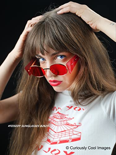 FEISEDY Women Men Futurisitc Hipster Round Sunglasses Polygon Trapezoid Side Shields Delicate Metal Frame B28253