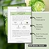 Sow Right Seeds - Iceberg Lettuce Seeds for Planting - Ideal Fall Lettuce for Hydroponics, Summer & Fall Planting - Grow Fresh Leafy Greens for Delicious Salads - Non-GMO Heirloom Variety (1) #1