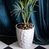 Winter Shore B0CK5BPZ3L lato 4