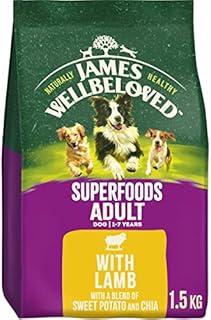 James Wellbeloved Adult Lamb and Rice 2 kg Bag, Hypoallergenic Dry Dog Food