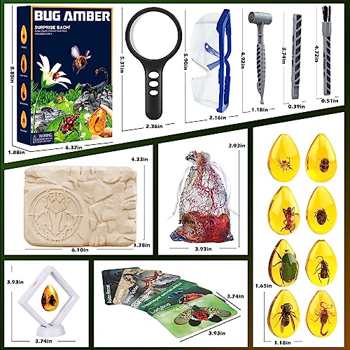 Woumserta 860 Amber Dig Kit - Insects In Resin thumb #4