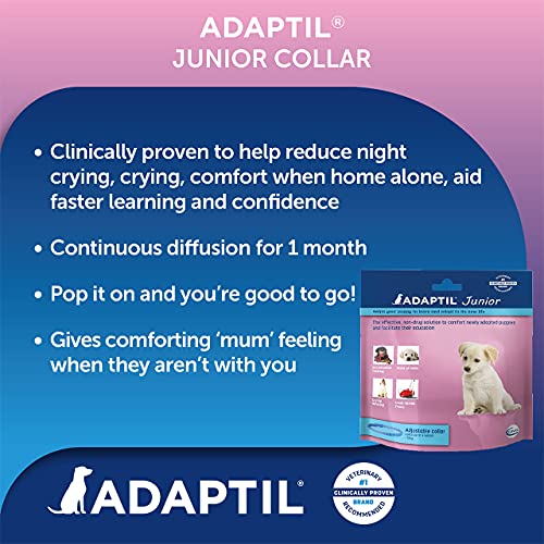 ADAPTIL Junior-Halsband für Welpen, verstellbar, nachweislich hilft, Nachtweinen, Komfort zu reduzieren, wenn Sie alleine zu Hause gelassen Werden, Training und Socilisation – Welpe