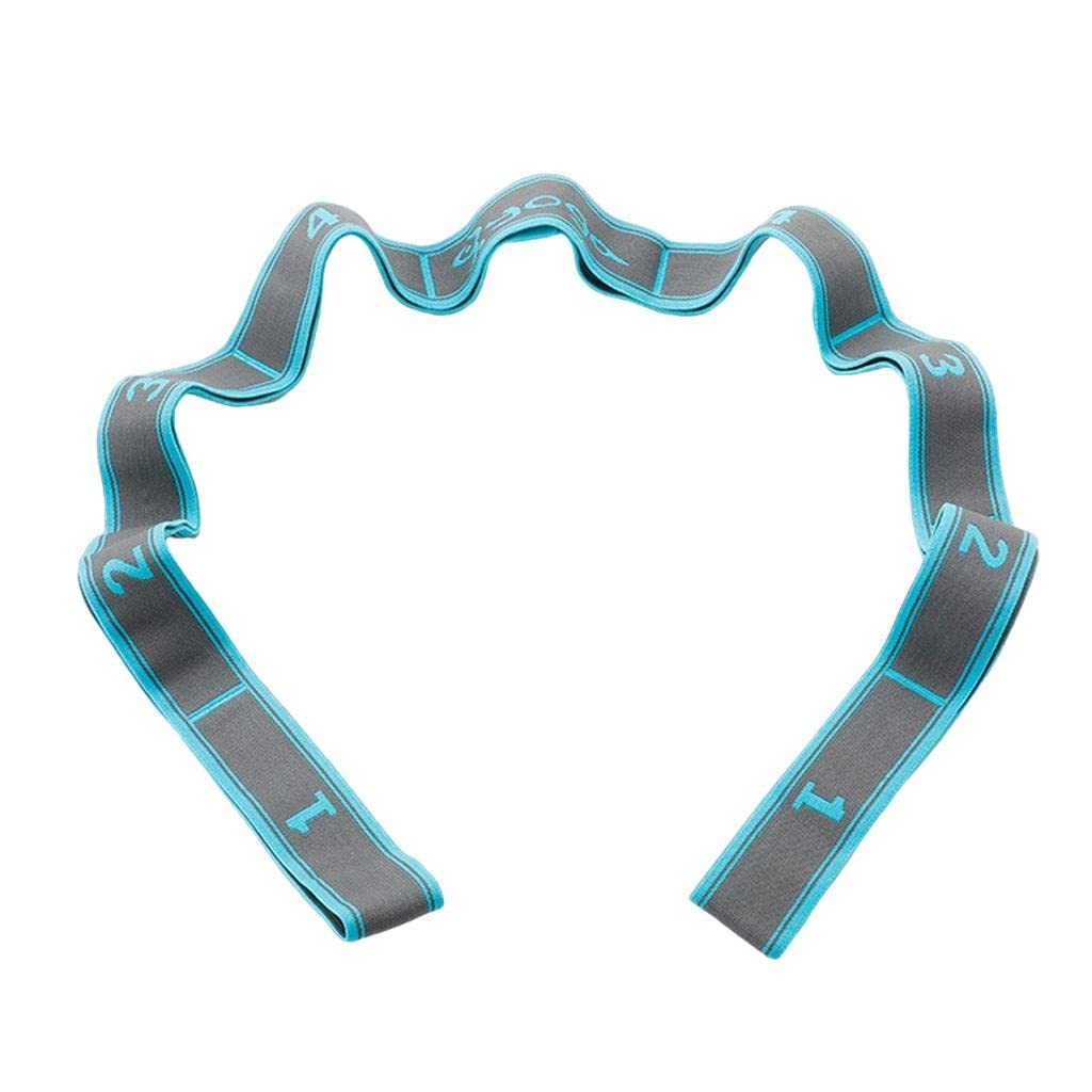 VMS INDIA Yoga Pull Strap Fitness Stretching Band Resistance Loop Blue_9 Loops-image-40