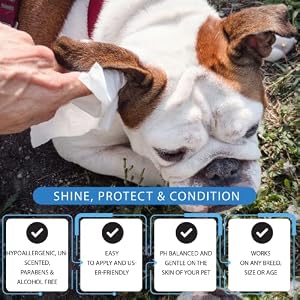 Dog Wipes for Pets Cats-100 Count All Purpose Unscented Wet Wipes for Paw Butt Cleaning,Grooming,AlcoholFree,Vitamin E,pH Balanced, 100% Natural Dog Wipes for Pets Cats-100 Count All Purpose Unscented Wet Wipes for Paw Butt Cleaning,Grooming,AlcoholFree,Vitamin E,pH Balanced, 100% Natural
