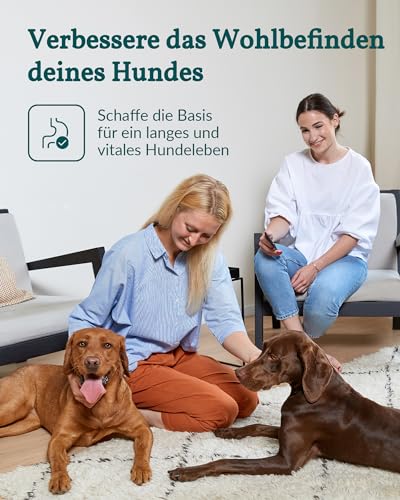 vetevo Allergietest Basic Hund, Unverträglichkeitstest Hunde, bei Juckreiz-Symptomen, Pfoten-Beißen & Niesen, 260+ Futtermittel Unverträglichkeiten Testen