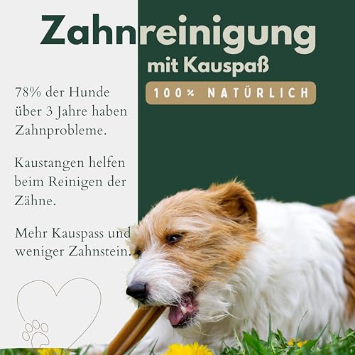 BREERs Getrocknete Rinderkopfhaut für Hunde 15cm, 10kg Belohnung-Snack Getreidefrei, Deutsche Herstellung, Leckerli Kauartikel Große Hunde