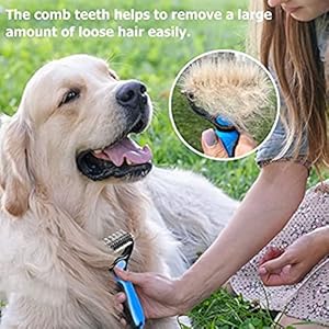 Dog-Brush-for-Shedding-2-Sided-Deshedding-brush-for-Dogs-Cats-Premium-Grooming-Comb-for-Short-Long-Haired-dogs-Cats-other-Pets-Blue-10-Count - Cucciolini Doodles   Dog-Brush-for-Shedding-2-Sided-Deshedding-brush-for-Dogs-Cats-Premium-Grooming-Comb-for-Short-Long-Haired-dogs-Cats-other-Pets-Blue-10-Count