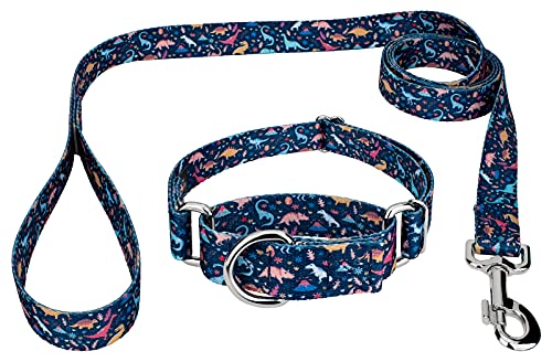 Country Brook Petz - Dinosaurs Martingale Dog Collar and Leash - Animal Collection with 12 Wild Designs (1 Inch, Medium)