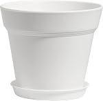 T4U 4 Inch Plant Pots 8 Pack, Plastic Planters with Drainage and Saucers for Gardening Enthusiasts, Flower Pots Indoor for Succulents, Herb and African Violet(White) | Succulent cactus herbs, Windowsill seedling starters, Desk office shelf, Mini comp