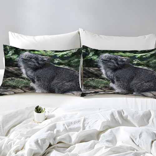 Housse de couette 200x200 finis les boutons cassés grâce au zip caché