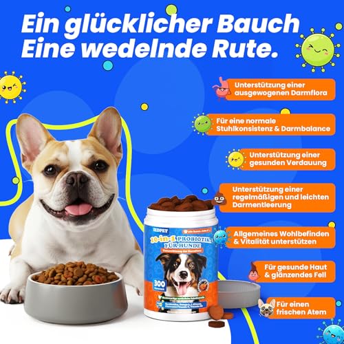 10-in-1 Probiotika für Hunde - 500g Leckerli mit wertvollen Kulturen & Präbiotika. Für das tägliche Wohlbefinden. Einfache Fütterung, hohe Akzeptanz. 300 Snacks