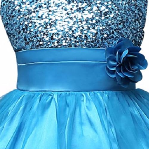 Image of Ripening Kids Sequined Ball-Gown for Your Little Princess's Birthday Celebration Girls' Dresses