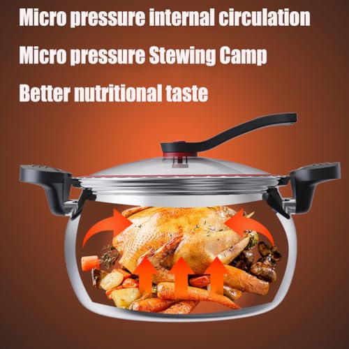 Olla a presión de acero inoxidable 5L miniatura 5