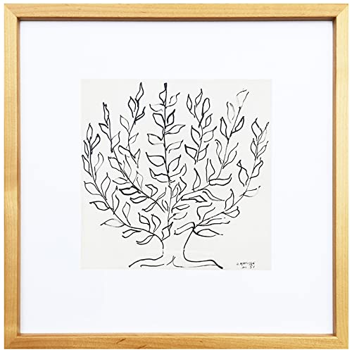 アンリ・マティス アートフレーム (低木) platane 複製画 ポスター Amazon.co.jp: アンリ・マティス アートフレーム (低木) platane