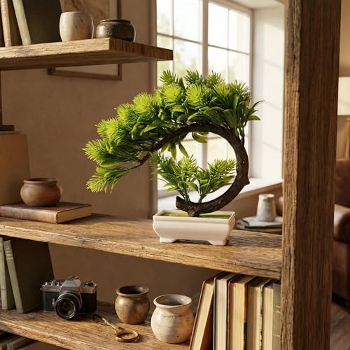 Image of Dekorly Artificial Fake Bonsai Potted Japanese Pine Bookshelf Decor, Artificial Bonsai Plant for Office Tabletop Decor | Indoor Cabinet Decoration | C Shape Plant (Green-2D, Height : Upto 22CM)