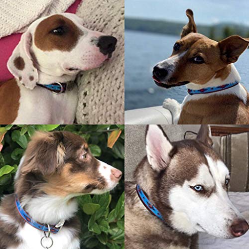 Marityn Dog Dog Collar Aztec Navajo Tribal Southwest Boho Bohemian Native American Inspired. For Puppy Small Dogs To Large Dogs Handmade In Usa thumb #8