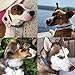 Dog collar Aztec Navajo Tribal Southwest Boho Bohemian Native American inspired. For Puppy Small dogs to large dogs Handmade in USA