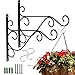 CYH 2 Pezzi Staffa per Piante Sospese, Supporto a Parete Appendere, Gancio a Muro per Cesto di Fiori in Ferro, con Viti, per Uccelli Piante Lanterne Campanelle a Vento,con 2 Ganci a Forma di S
