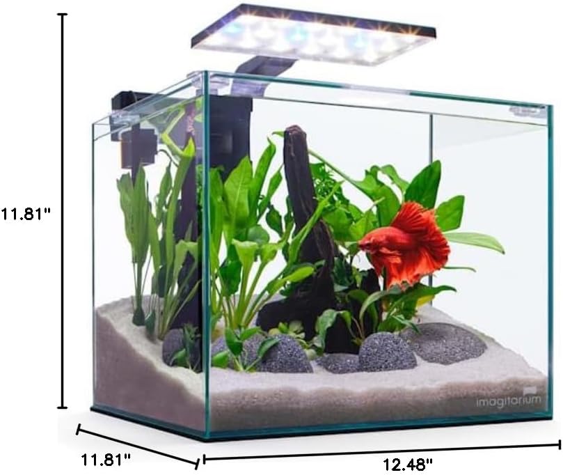 Imagitarium Glass Betta Aquarium Kit 5 Gallons
