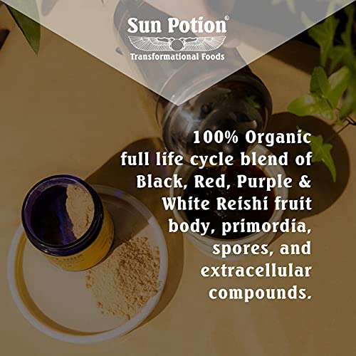 Sun Potion Reishi Mushroom Powder (Organic) - Queen Healer Mushroom (100G) #TOP1