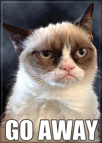 Ata-Boy Grumpy Cat 'Go Away' 2.5" x 3.5" Magnet for Refrigerators and Lockers