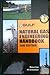 Natural Gas Engineering Handbook