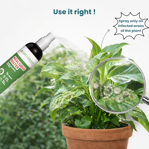 Image of Pot and Bloom Mealy Bug Buster Spray 100 ML | Natural Germs and Fungus Killer for Plants| No Harmful Chemicals| Indoor & Outdoor Plants| Ready to Use| Helps in Plant Growth