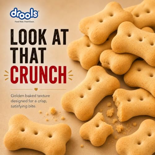 Image of Drools All Life Stages Dog Treat Biscuits 800g Jar | Real Chicken Flavour | All Breed Formula | Promotes Lustrous Skin & Coat | Vitamins & Minerals | Reduces Tartar Build Up