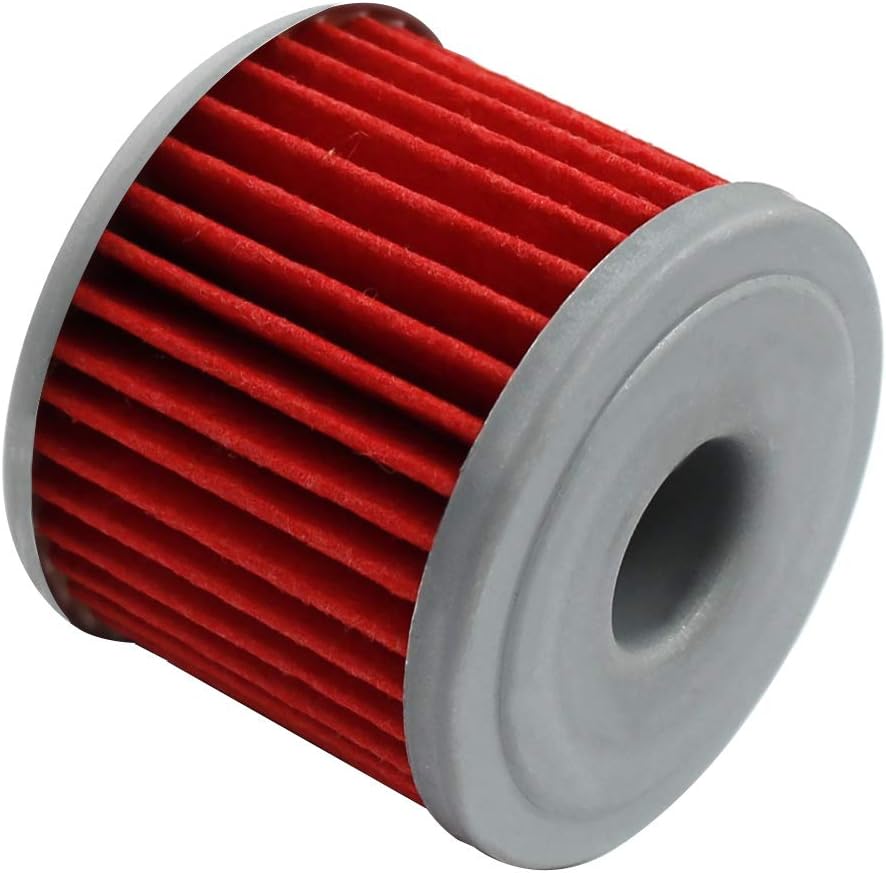 AHL 2 Pcs Oil Filter 15412-MGS-D21 Compatible with HONDA NC700X DCT 2012-2018/CTX700N DCT 2014-2018/SXS1000M3 Pioneer 1000 2016-2019 15412-MGS-D21
