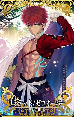 Amazon.co.jp: Fate/Grand Order Arcade (FGOアーケード)/【概念礼装