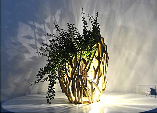 100% Handwork Natural Driftwood Wooden Decoration Vase with Hydroponics GlassJar - Image 3