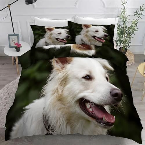 zcJo[ Z~_u 170X210 cm ؂̗t |zcJo[ qr 퓅 3_Zbg43X63 cm QZbg _炩 ʋC ɗD 􂢑ւ^Cv I[V[Y QSn