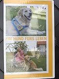  Ein Hund fürs Leben