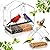 BTFSZ Window Bird Feeder with Strong Suction Cups - 2Pack Clear Sturdy Acrylic Birdfeeder for Outside Windows, 360° Clear View - No Drill Easy Install, Perfect for Cardinals & Finches,etc(2026 New)