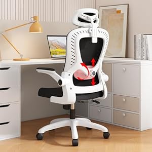 LEVIPE Bureaustoel – ergonomisch met lendensteun, armleuningen, verstelbare hoofdsteun, computerstoel met hoge rugleuning, comfortabel, voor thuiskantoor