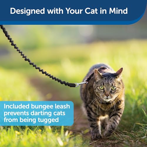 Petsafe CWMK-L-BLK Come With Me Kitty Harness And Bungee Leash, Harness For Cats thumb #3