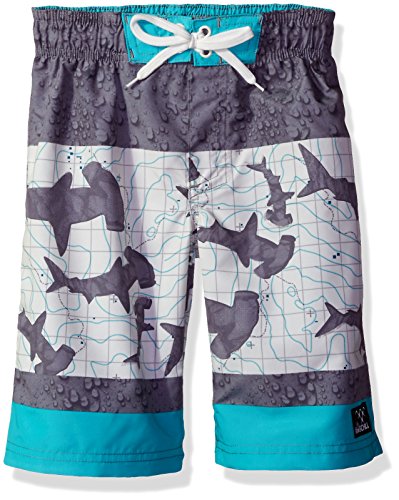 Big Chill Boys' Shark Color Block Swim Trunk
