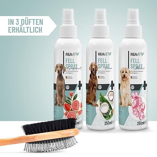 ReaVET Fellpflege Pflegespray Kokos 250ml - Sanftes Fellspray für Hunde & Katzen, Entfilzungsspray & Kämmhilfe, mit Kokosspray mit Kokosöl