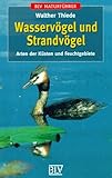  Wasservögel und Strandvögel: Arten der Küsten und Feuchtgebiete