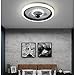 SXLCKJ Ventilatori da soffitto Moderni con luci LED e Telecomando dimmerabile Smart Fan Plafoniera Soggiorno 3 Pale (Ventilatore della Lampada)