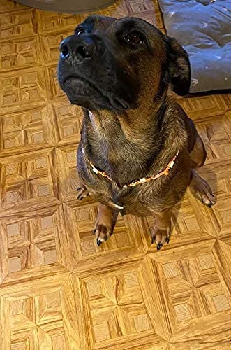 Halsband, EM-Keramik, Schutz gegen Zecken, neu Handarbeit, Hund