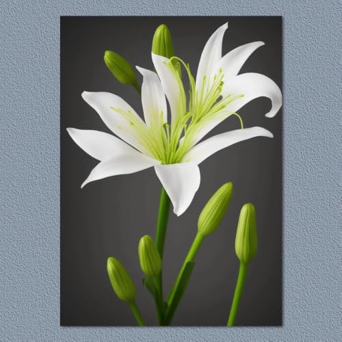 Lys blancs affiche toile 50x60cm pour déco murale de salon - 2