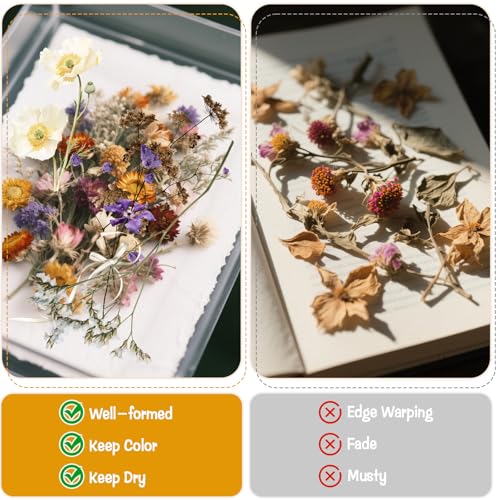 Image of HFYZZ 8 Pack Dried Flower Storage Kit Including Storage Containers and Bags, Blotting Paper, Desiccant and DIY Dried Flower Bookmarks, Flower Pressing Storage Kit to Keep Flower Color and Dry