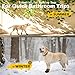 EXPAWLORER Anti Slip Dog Socks to Prevent Licking Paws,Dog Shoes for Hot Pavement, Dog Booties for Hardwood Floors, Dog Boots & Paw Protectors with Grippers for Small Medium Large Senior Dogs Khaki XS