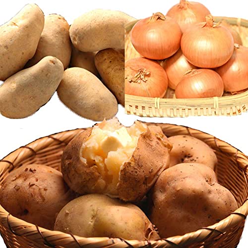 Ⴊ3Zbg (kEʂ˂E[NCie2kgj)