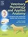 Veterinary Physiology and Applied Anatomy - Revised Reprint: A Textbook for Veterinary Nurses and Technicians