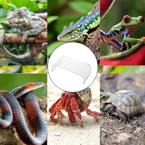 Hamac dragon barbu en acier inoxydable : résout le manque de place pour tortue et rongeur - 5