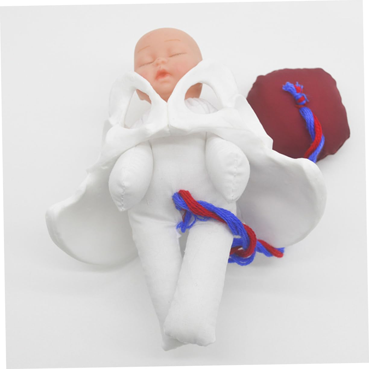 GALPADA Modelo de Pelvis de Parto para Enseñar Anatomía Pélvica Femenina Simulador del Proceso de Parto para Educación Prenatal Herramienta de Demostración para Aula